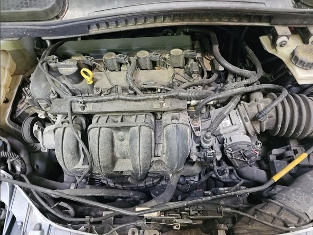 Image 9