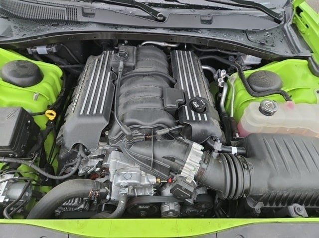 Image 8