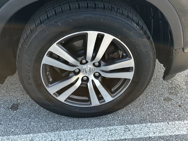 Image 6