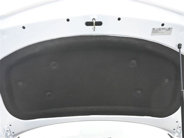 Image 21