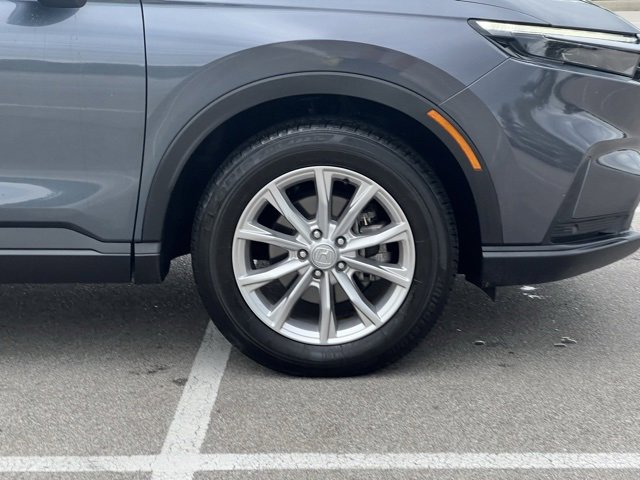Image 12
