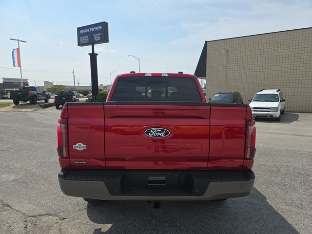 Image 6