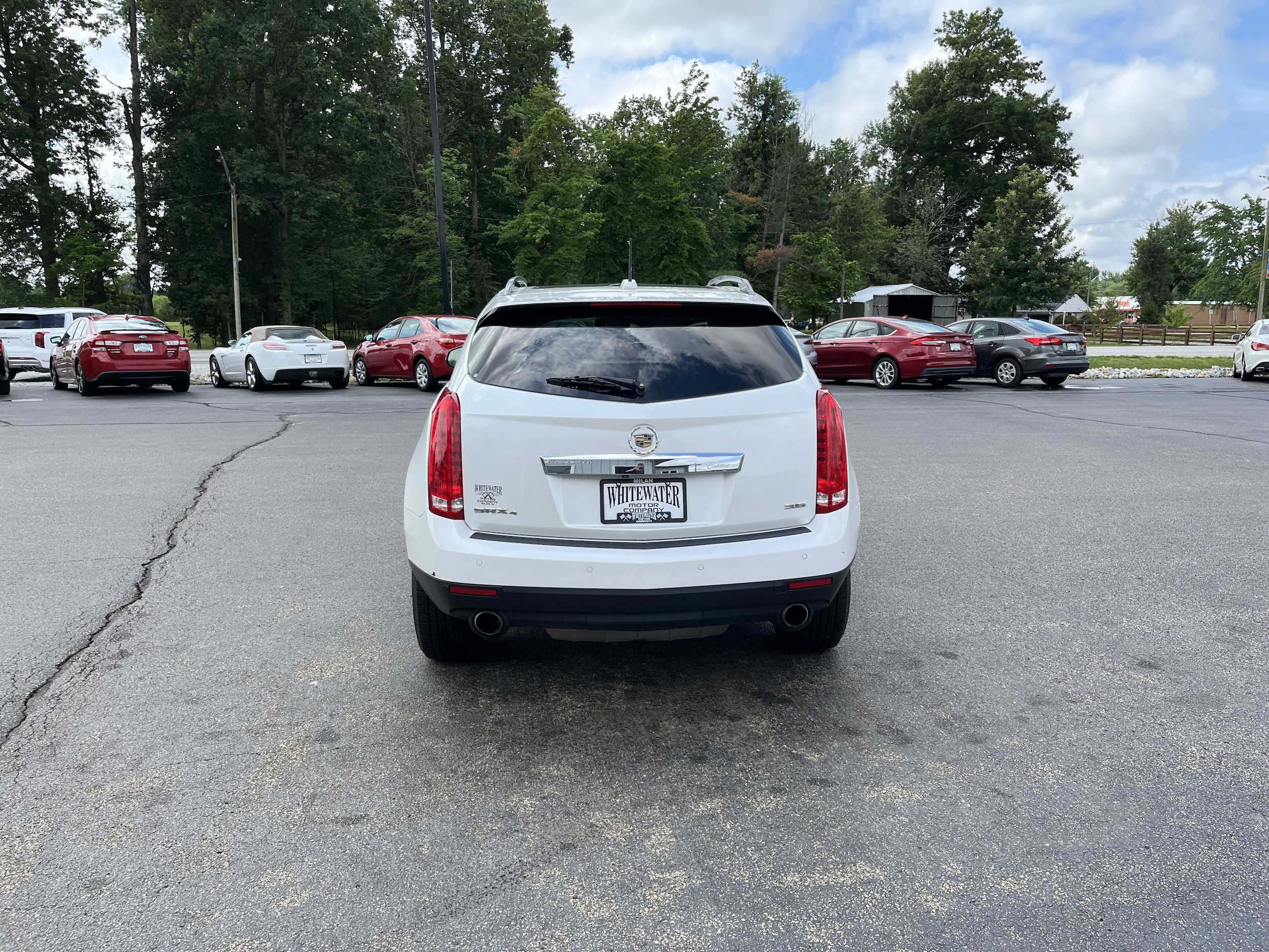 Image 4