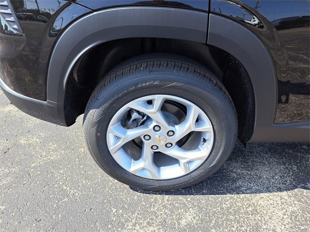 Image 8