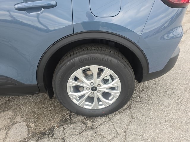 Image 13