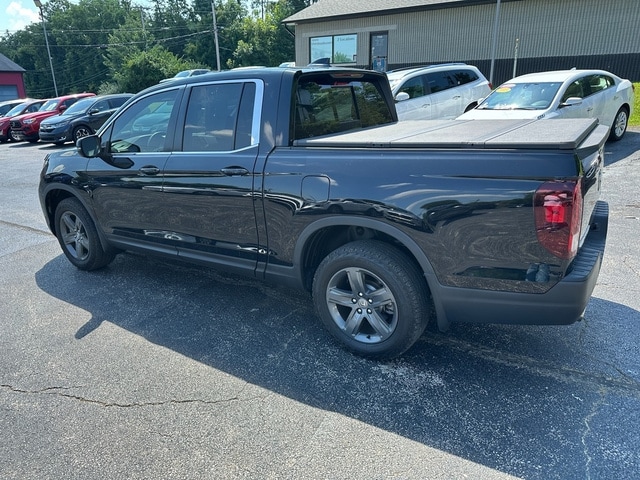 Image 7
