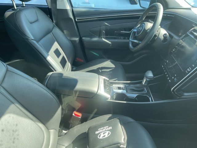 Image 6